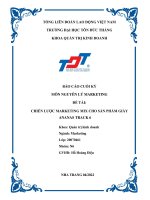 BÁO cáo CUỐI kỳ môn NGUYÊN lý MARKETING đề tài CHIẾN lược MARKETING MIX CHO sản PHẨM GIÀY ANANAS TRACK 6
