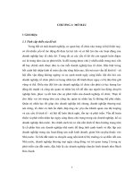 PHÁT TRIỂN NGUỒN NHÂN LỰC CỦA BÁCH HÓA XANH