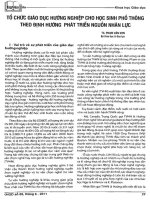 Tổ chức giáo dục hướng nghiệp cho học sinh phổ thông theo định hướng phát triển nguồn nhân lực