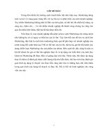 Ý TƯỞNG KHỞI NGHIỆP  phân tích chiến lược marketing của thương hiệu PURE