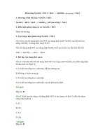 Phương trình hóa học naalo2 + HCl