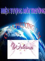 Ô nhiễm môi trường
