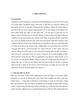 THỰC TRẠNG HOẠT ĐỘNG QUẢN TRỊ NGUỒN NHÂN LỰC CỦA STARBUCKS COFFEE