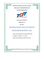 BÁO cáo CUỐI kỳ i môn GIÁ cả đề tài kế HOẠCH RA mắt sản PHẨM BÁNH DINH DƯỠNG NAZ