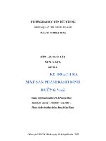 BÁO cáo CUỐI kỳ  môn GIÁ cả đề tài kế HOẠCH RA mắt sản PHẨM BÁNH DINH DƯỠNG NAZ