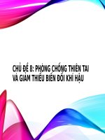 HĐTN-HN6. Chủ đề 8