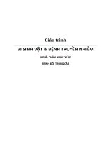 Giáo trình Vi sinh vật & bệnh truyền nhiễm - Cao đẳng Nông Lâm Đông Bắc
