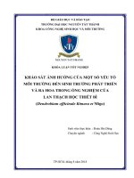 Khảo sát ảnh hưởng của một số yếu tố môi trường đến sinh trưởng phát triển và ra hoa trong ống nghiệm của lan thạch hộc thiết bì (dendrobium officinale kimura et migo)