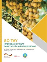 Sổ tay hướng dẫn kỹ thuật canh tác cây nhãn theo VietGAP: Phần 1