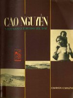 Vùng cao nguyên Việt Nam