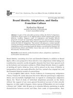 brand identity adaptation and media franchise culture