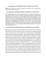 Suy nghĩ của bạn về giải pháp làm giảm rác thải nhựa trên toàn cầu (30 mẫu)