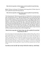 Phân tích tâm trạng nhân vật thanh ở đoạn văn cuối của phần kết truyện dưới bóng hoàng lan (30 mẫu)