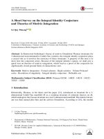 A short survey on the integral identity conjecture and theories of motivic integration