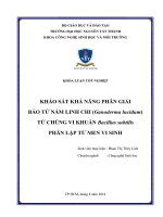 Khảo sát khả năng phân giải bào tử nấm linh chi (ganoderma lucidum) từ chủng vi khuẩn bacillus subtilis phân lập từ men vi sinh