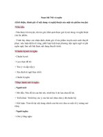 soan bai gioi thieu danh gia ve noi dung va nghe thuat cua mot tac ph