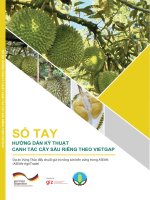 Sổ tay hướng dẫn kỹ thuật canh tác cây sầu riêng theo VietGAP: Phần 1