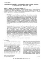 caracter sticas fenol gicas de baccharis trimera less dc 1836 asteraceae no munic pio de vi osa minas gerais brasil