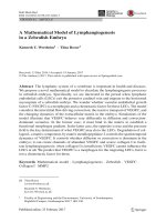 A Mathematical Model of Lymphangiogenesis in a Zebrafish Embryo