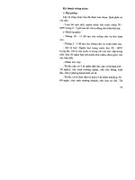 Kỹ thuật trồng rừng ở vùng trung du: Phần 2