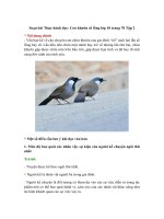 soan bai thuc hanh doc con khuou so long lop 10 trang 70 tap 2 ngan nh