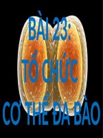 KHTN 6 Bài 23 Tổ chức cơ thể đa bào (ppt)