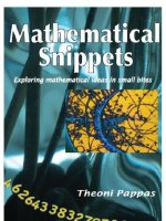 Mathematical snippets exploring mathematical ideas in small bites