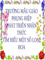 CÁCC LOẠI HOA - Hoạt động Nhận biết - Lê Việt Cảnh - Thư viện Bài giảng điện tử