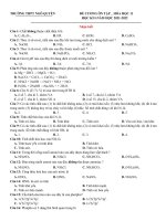Đề cương ôn tập kiểm tra cuối học kì I, Hóa 11_2021-2022