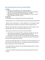 30 bai phan tich hinh anh nguoi ba trong bai tho bep lua hay nhat