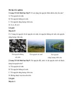 giai sbt sinh 9 bai tap trac nghiem trang 131 132 133 134 135 136 137