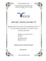 bài tiểu luận marketing quốc tế phân tích chiến lược của Lazada tại Việt Nam