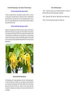 Tóm tắt ngữ văn 10 bài 6 nâng niu kỉ niệm