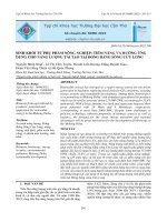 Sinh khối từ phụ phẩm nông nghiệp tiềm năng và hướng ứng dụng cho năng lượng tái tạo tại đồng bằng sông cửu long