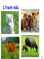 GIÁO ÁN TẠO HÌNH