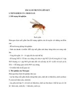 ly thuyet sinh hoc 9 bai 13 di truyen lien ket