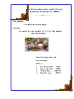 Tiểu luận môn:  VĂN HOÁ DOANH NGHIỆP  Tên đề tài: VĂN HOÁ DOANH NGHIỆP VÀ VỐN XÃ HỘI TRONG  DOANH NGHIỆP