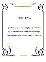 Quy luật quan hệ sản xuất phự hợp với trình độ phát triển của lực lượng sản xuất và vận dụng vào sự nghiệp đổi mới ở nước ta hiện nay