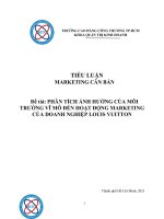 TIỂU LUẬN MARKETING căn bản đề tài PHÂN TÍCH ẢNH HƯỞNG của môi TRƯỜNG vĩ mô đến HOẠT ĐỘNG MARKETING của DOANH NGHIỆP LOUIS VUITTON