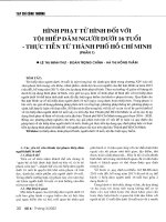 Hình phạt tử hình đối với tội hiếp dâm người dưới 16 tuổi từ thực tiễn thành phố hồ chí minh (phần 1)