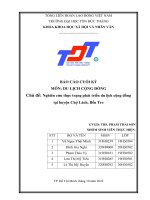 BÁO cáo CUỐI kỳ môn DU LỊCH CỘNG ĐỒNG chủ đề nghiên cứu thực trạng phát triển du lịch cộng đồng tại huyện chợ lách, bến tre