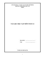 toan 11 hki 492021162618