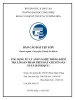 BÁO CÁO BÀI TẬP LỚN Chuyên ngành: Công nghệ kỹ thuật Cơ điện tử  ỨNG DỤNG XỬ LÝ ẢNH VÀO HỆ THỐNG KIỂM TRA LỖI SẢN PHẨM TRÊN DÂY CHUYỀN SẢN  XUẤT (BÁNH QUY)