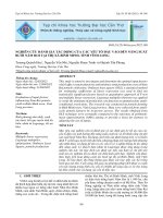 Nghiên cứu đánh giá tác động của các yếu tố đầu vào đến năng suất bưởi năm roi tại thị xã bình minh, tỉnh vĩnh long