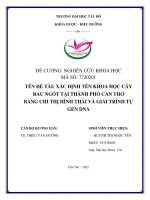 ĐỀ tài NGHIÊN cứu KHOA học cây RAU NGÓT