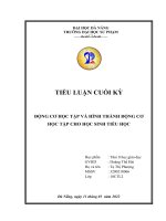 TIỂU LUẬN CUỐI kỳ ĐỘNG cơ học tập và HÌNH THÀNH ĐỘNG cơ học tập CHO học SINH TIỂU học