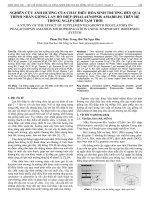 Nghiên cứu ảnh hưởng của chất điều hòa sinh trưởng đến quá trình nhân giống lan Hồ điệp (Phalaenopsis amabilis) trên hệ thống ngập chìm tạm thời