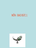 Bài giảng môn Đạo đức lớp 1: Lễ phép với anh chị. Nhường nhịn em nhỏ