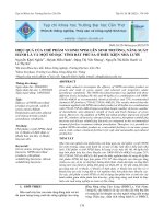 Hiệu quả của chế phẩm vi sinh NPISi lên sinh trưởng, năng suất hành lá và một số đặc tính đất phù sa ở điều kiện nhà lưới