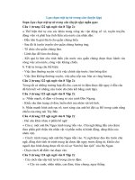 soan bai lua chon trat tu tu trong cau luyen tap ngan nhat soan van 8